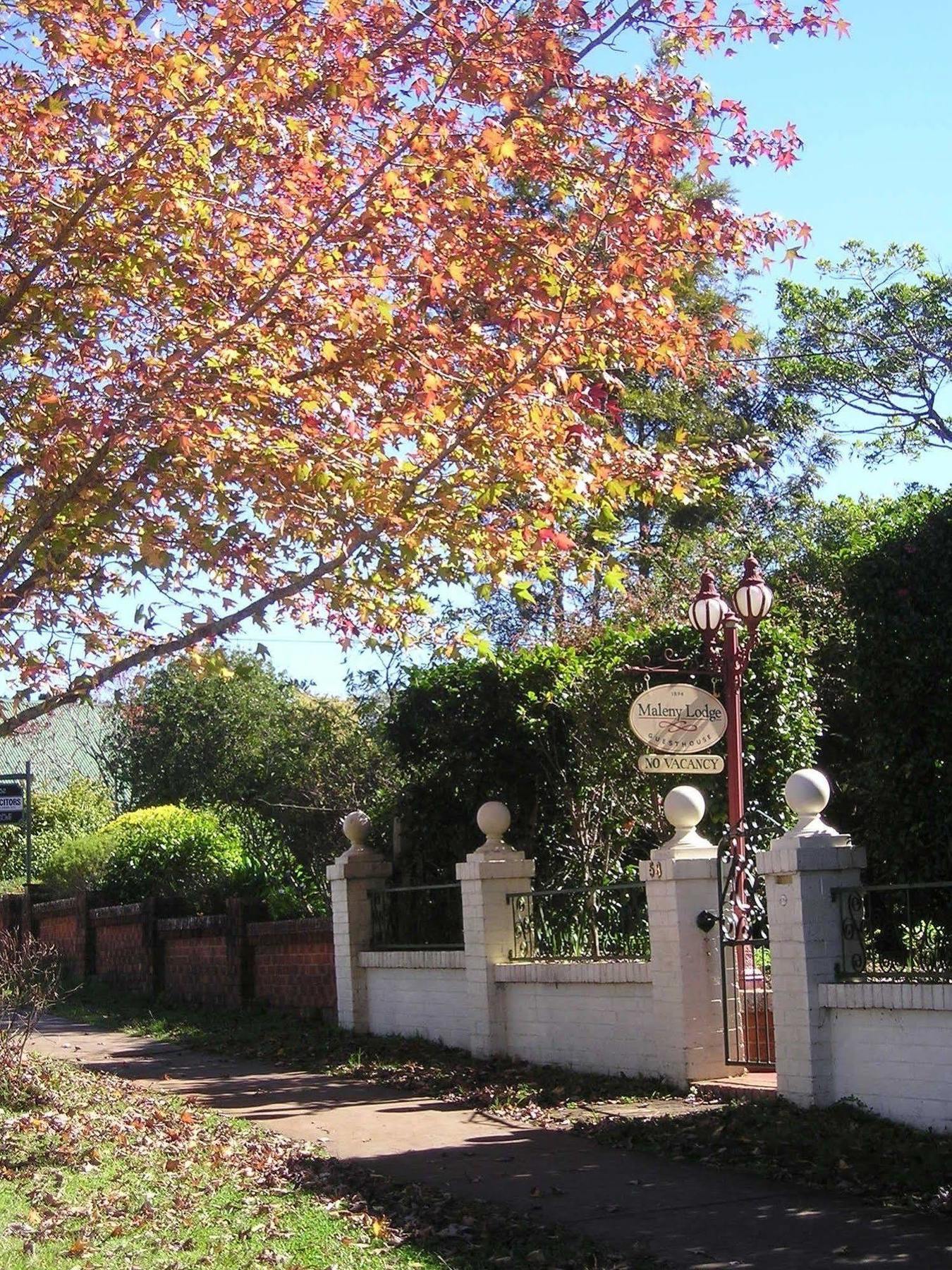 Maleny Lodge Exterior foto